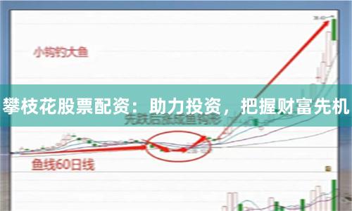 攀枝花股票配资：助力投资，把握财富先机