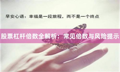 股票杠杆倍数全解析:常见倍数与风险提示